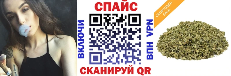 Купить  Шагонар  Бутират BDO 