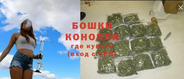 стаф Пестово