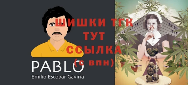 стаф Пестово