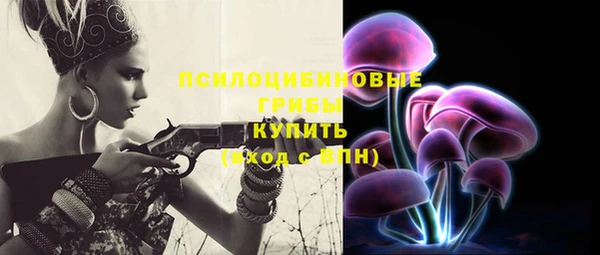 PSILOCYBIN Пересвет