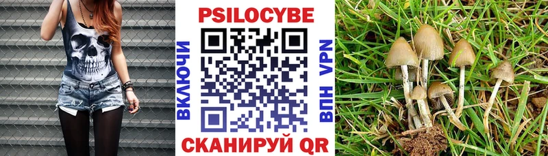 Галлюциногенные грибы мицелий Купить закладки Шагонар